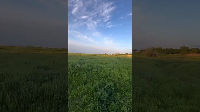 https://rutube.ru/video/private/6298e3bc1105f6120e039c2990bfdbb2/?p=fU3t3ZC4klk809SA8cgI1Q