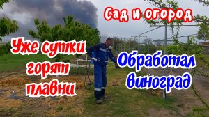 Дом на Юге. Уже сутки горят плавни. Обработал виноград.