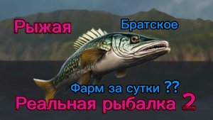 Реальная рыбалка 2. Сколько можно заработать за час реального времени??