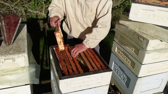 состояние семей в 10 рамочных ульев ,на рапсе. 1 мая смотреть онлайн