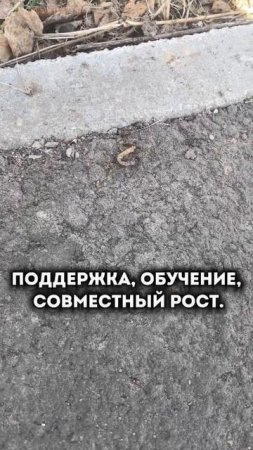 Командная работа