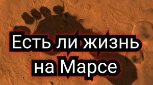 Есть ли жизнь на Марсе