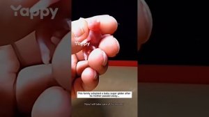 Прикольные видео
