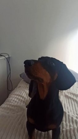 Что то интересное 😄