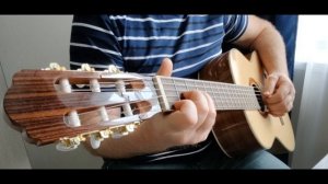 "Ваше благородие, госпожа Удача" кавер, Пшеничный-Сотников (2)