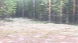 ПУТЕШЕСТВИЕ В ТАЙГЕ  СУРОВЫЙ СЕВЕР  СПЛОЧЕНИЕ КУРСКИХ