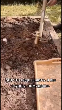 Вот такие вот семяна😅