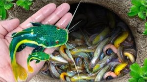 Мультфильм для всей семьи Я нашел Странного декоративного сома, Немецкого Голубого Барана, Рыбу Бетт