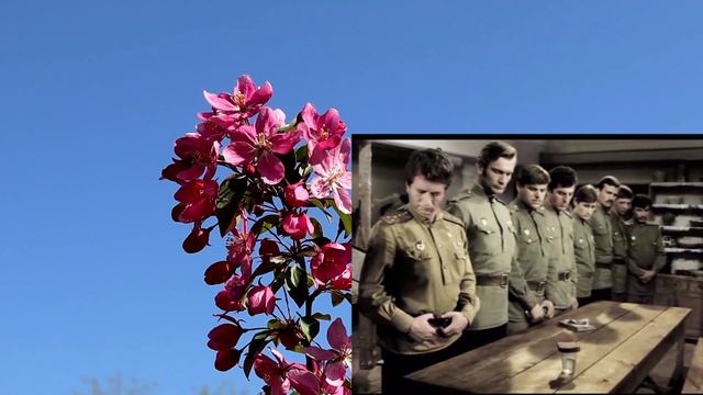 МЫ ПТИЦЫ, МЫ ДОЛЖНЫ ЛЕТАТЬ! (авторская песня)