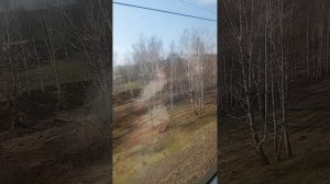 в электричке бесплатно