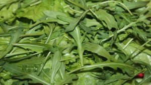 Микс салата с сыром и овощами