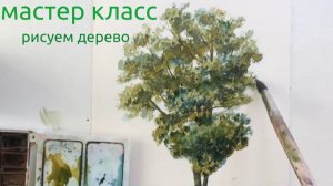 Мастер класс рисуем дерево акварелью. Освойте секрет красоты природной акварели.