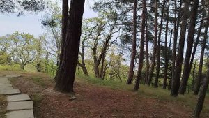 Санаторий «Горный». День 1-ый