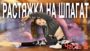 РАСТЯЖКА заключение