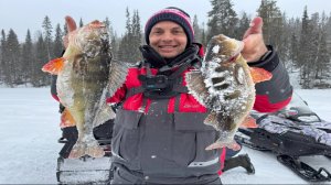 27 лет спустя... Нетронутые озера Кольского 2025 (4к)