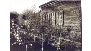 Константин Шилов. История спасения домика-мастерской Борисова-Мусатова.