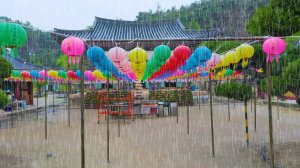 신륵사 우중산책, 빗소리 asmr, 여주 여행, 서울여행워커.