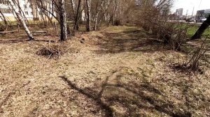 Как иногда люди врут безо всякого повода