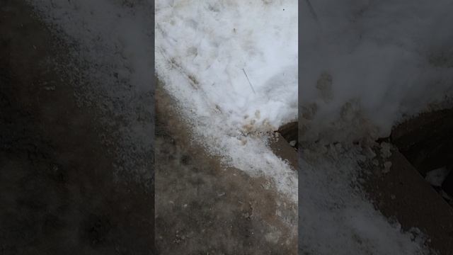 13 марта 2025 г., 10:07:00
ул. Белинского
VID_20250313_100341604