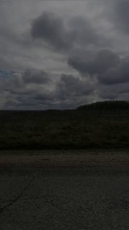 По пути в Сенгилей, Ульяновская область