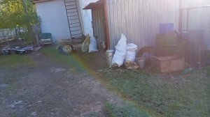 утренний обход территории