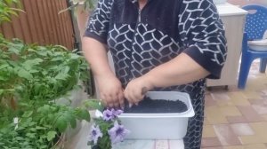 Пришла суббота ,но у нас опять дождь и прохладно!