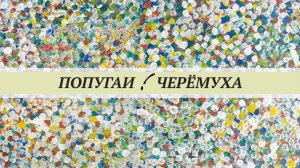 Черёмуха для попугаев, цветы, ягоды, листва, кора. Всё о кормлении попугаев черёмухой.
