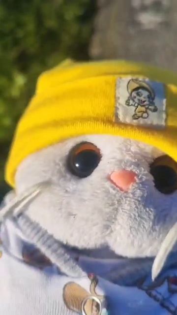 Подпишытесь😍🥰😘🤩❤️