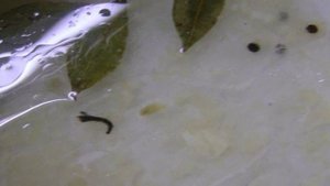 Маринованные вешенки