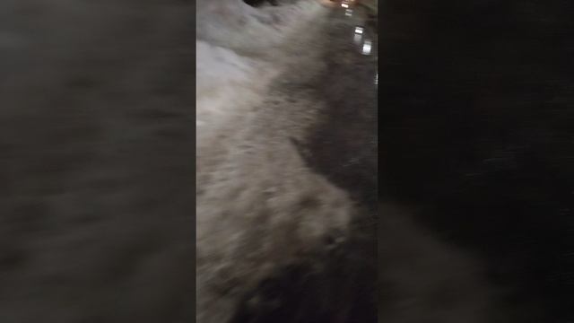 13 марта 2025 г., 20:16:01
ул. Полины Осипенко
VID_20250313_201419902