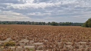 По дороге с облаками, на электровеле по полям