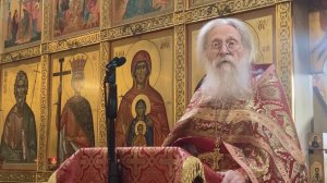 Поднялся на гору и остался один... Проповедь в субботу прп. Феодора Трихины. 03.05.2025 г.