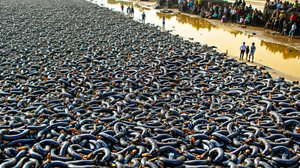 Случаи в Природе Один на Миллион(1080P_HD)