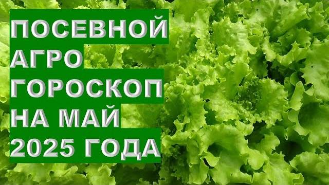 МАЙ 2025: Когда и Что Посадить Из Овощей и Цветов?