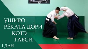 Уширо рёката дори - котэ гаеси