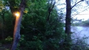 Вылазка в лес с ночёвкой 1.05.25