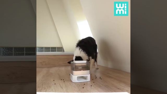 asset_1_h264 смотреть онлайн