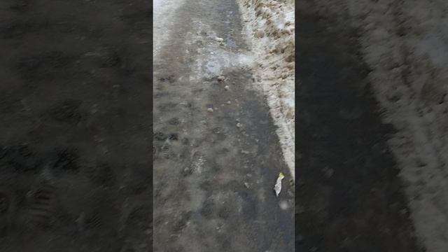 13 марта 2025 г., 10:17:22
ул. Полины Осипенко
VID_20250313_101524043