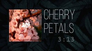 ❻ ▷ Cherry Petals