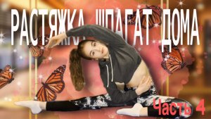 Растяжка ДОМА на ШПАГАТ