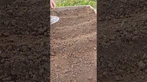 Крутой лайфхак!!!