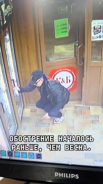 ВЕСЕННЕЕ ОБОСТРЕНИЕ У ПЕТУХОВ. ВОР