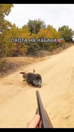 Охота на Кабана 🎯🐗