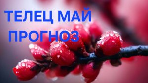 ТЕЛЕЦ. ТАРО ПРОГНОЗ НА МАЙ