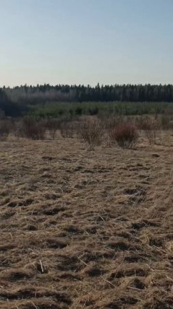 Открыл сезон.