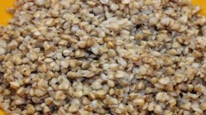 Гречаники с курицей и плавленым сыром