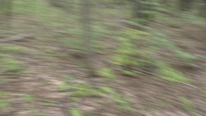 Вот Наше Горная Местность От 02 05 2025 Года.