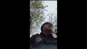 спасибо за 60 подписчиков