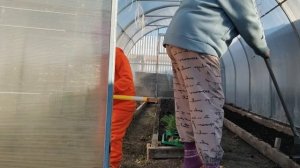 ВЫСАДИЛА ПОМИДОРЫ, ПОСЕЯЛА🥦 🥬ПРИГОТОВИЛИ ПЛОВ.