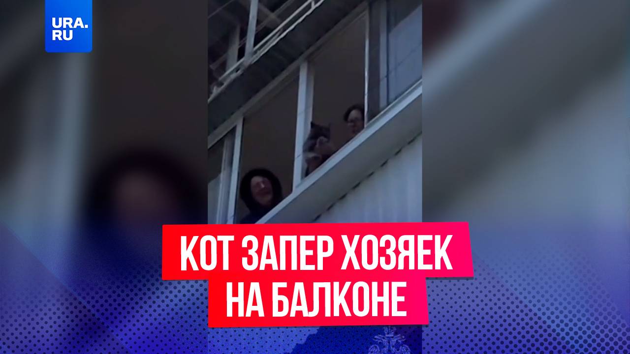 Хвостатый «захватчик»: кот запер хозяек на балконе